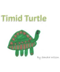 Timid Turtle