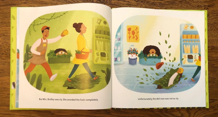 Rescuing Mrs Birdley by Aaron Reynolds and Emma Reynolds