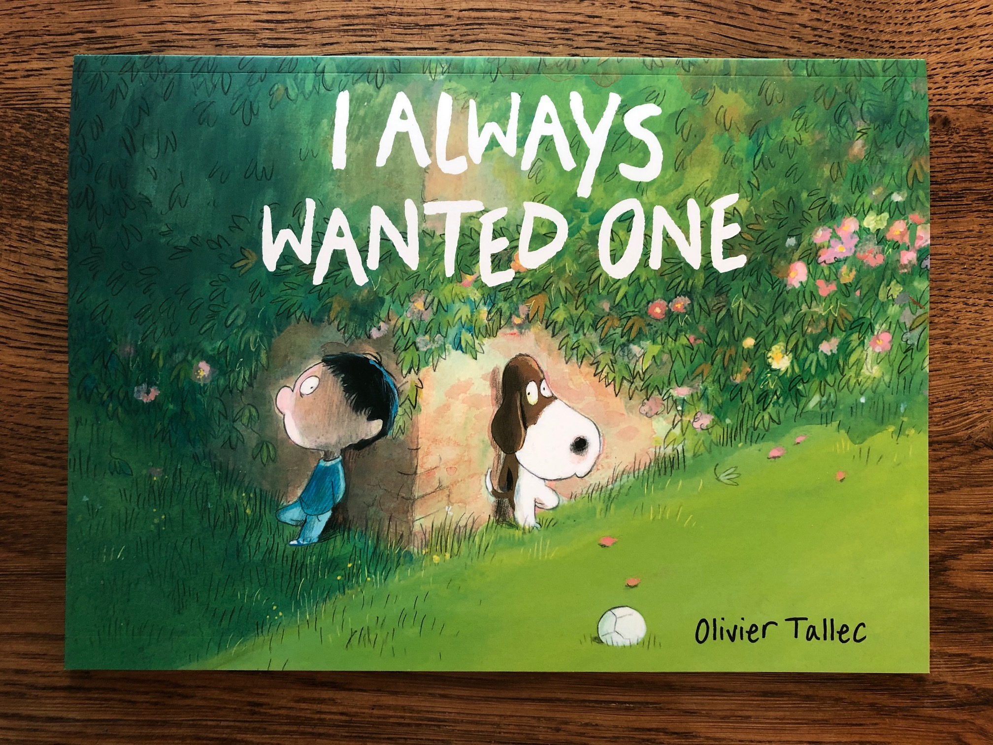 I Always Wanted One by Olivier Tallec ~ #BlogTour #PictureBook