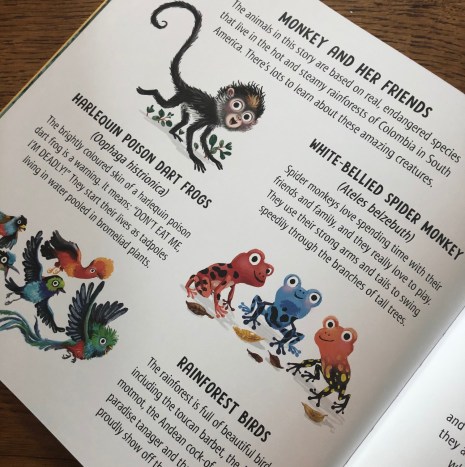 Slow Down Monkey by Dr Jess French and Eefje Kuijl Buster Books