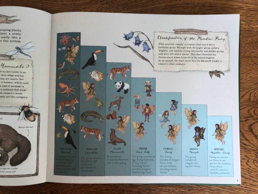 A Natural History of Fairies by Emily Hawkins & Jessica Roux Classification of a fairy