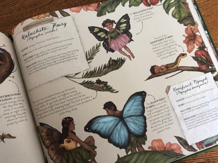 A Natural History of Fairies by Emily Hawkins & Jessica Roux