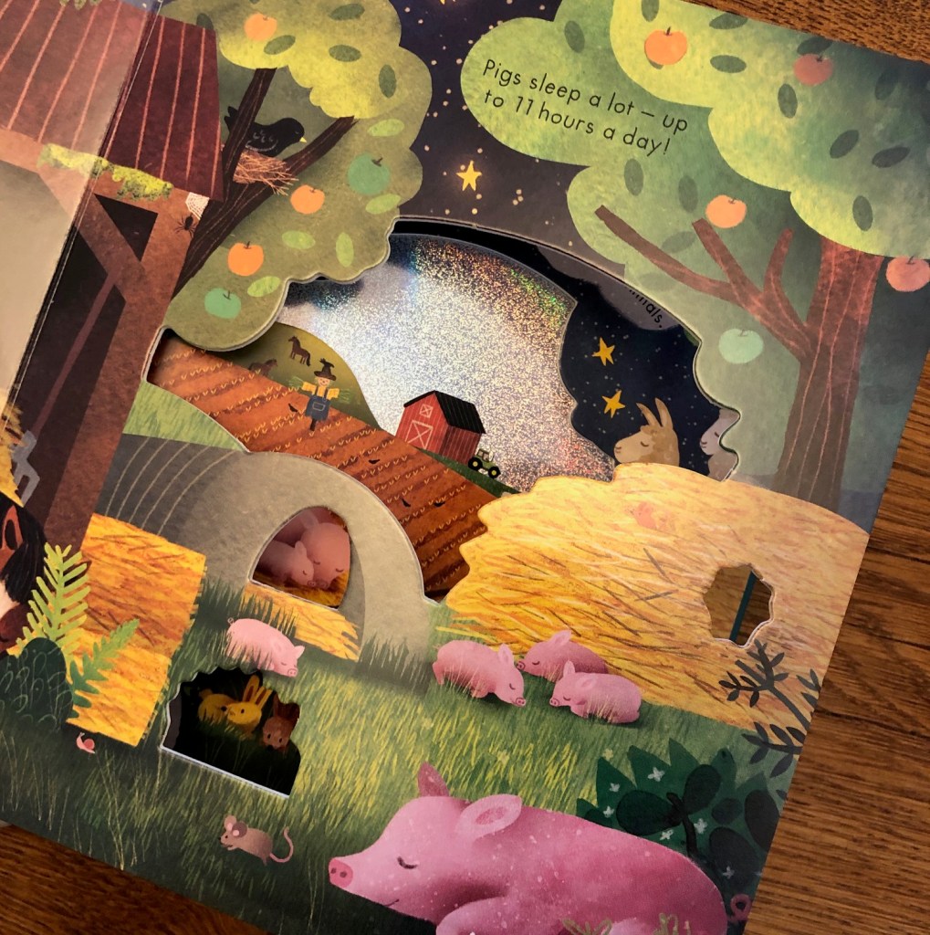Goodnight Farm by Becky Davies and Carmen Saldaña is part of Little Tiger’s Little Explorers series Goodnight Farm by Becky Davies and Carmen Saldaña is part of Little Tiger’s Little Explorers series