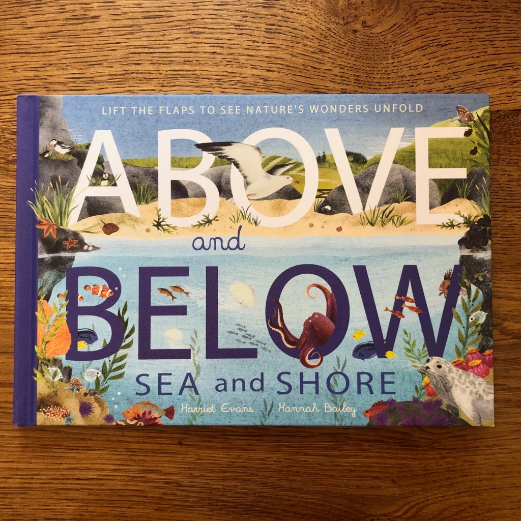 Above and Below: Sea and Shore by Harriet Evans and Hannah Bailey