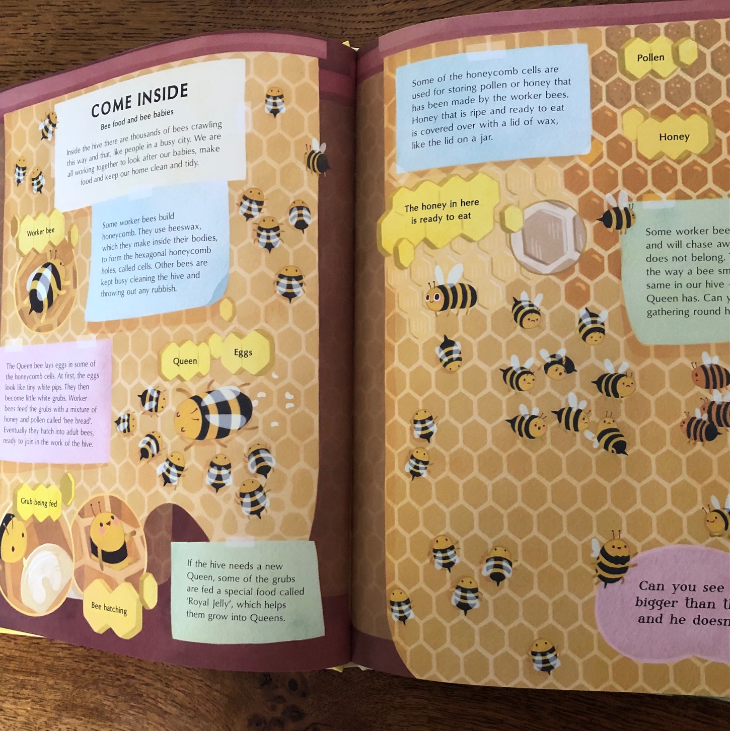 The Secret Life of Bees by Moira Butterfield and Vivian Mineke ~ # ...