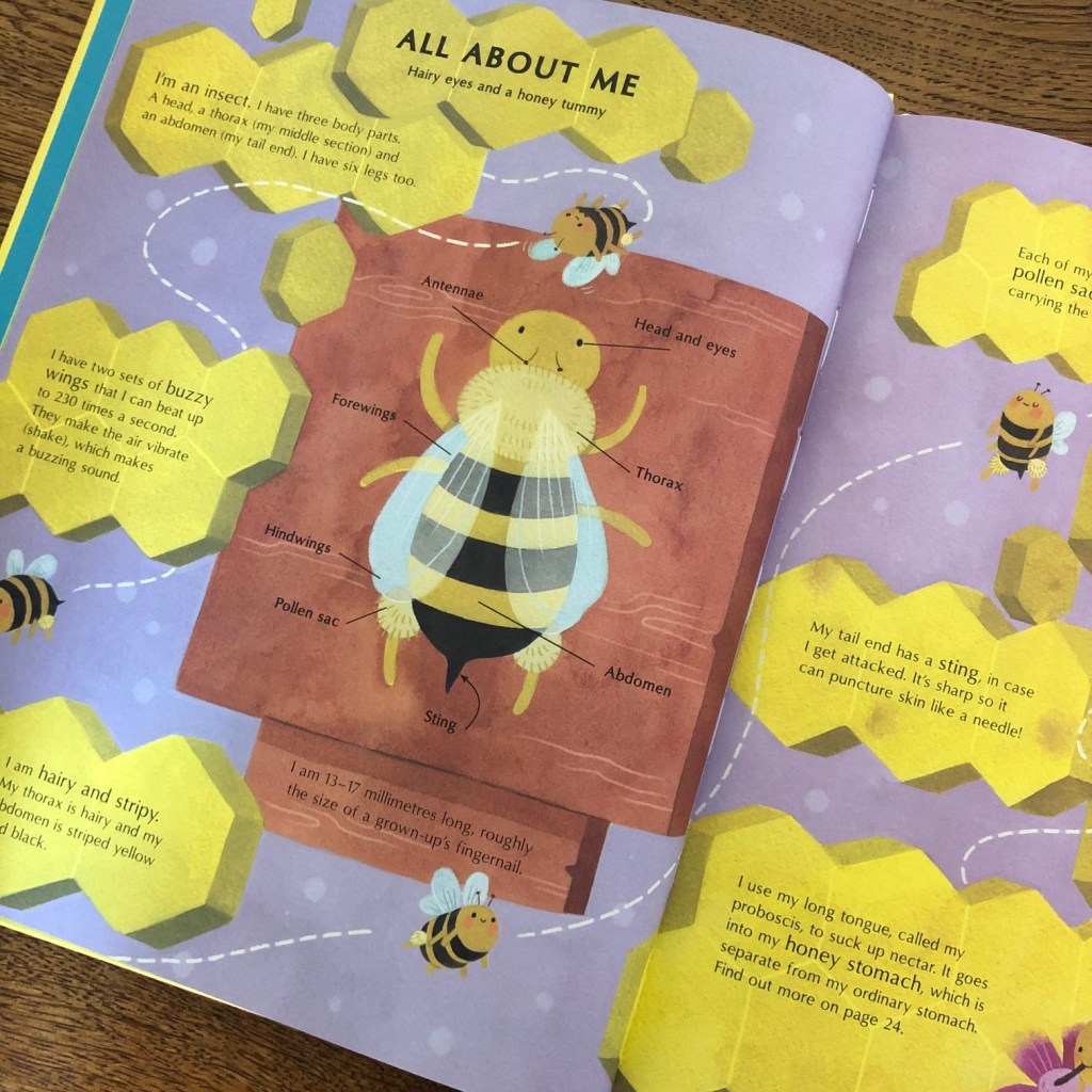 The Secret Life of Bees by Moira Butterfield and Vivian Mineke