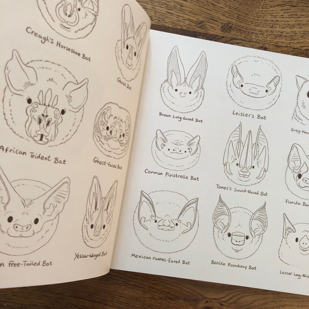 Amara and the Bats by Emma Reynolds 