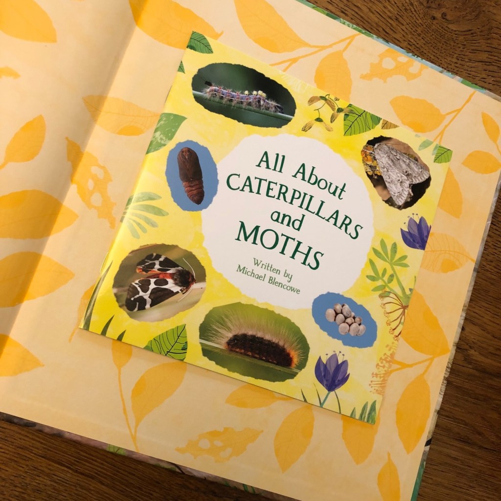 The Woolly Bear Caterpillar by Julia Donaldson and Yuval Zommer 