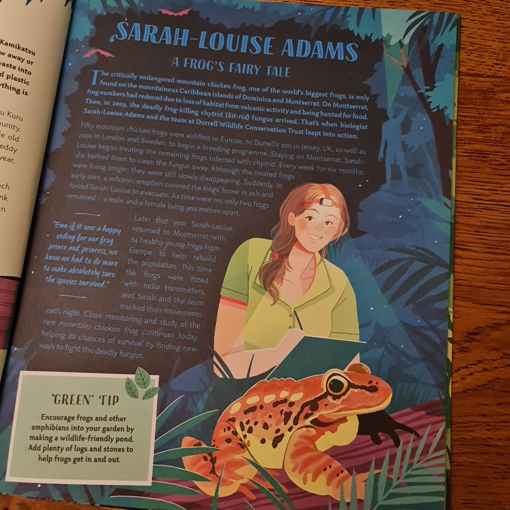 What a Wonderful World by Leisa Stewart-Sharpe and Lydia Hill